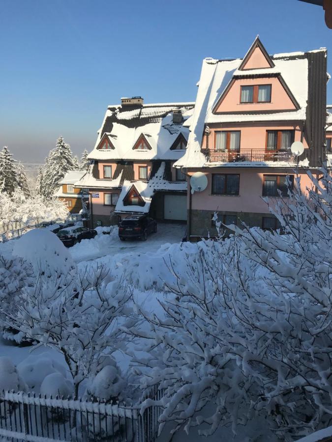 Pokoje U Borzana Panzió Biały Dunajec Kültér fotó